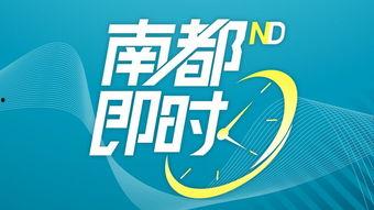 四会热点爆料最新消息,揭秘重大事件背后真相